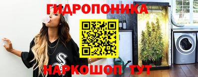 альфа пвп Аргун