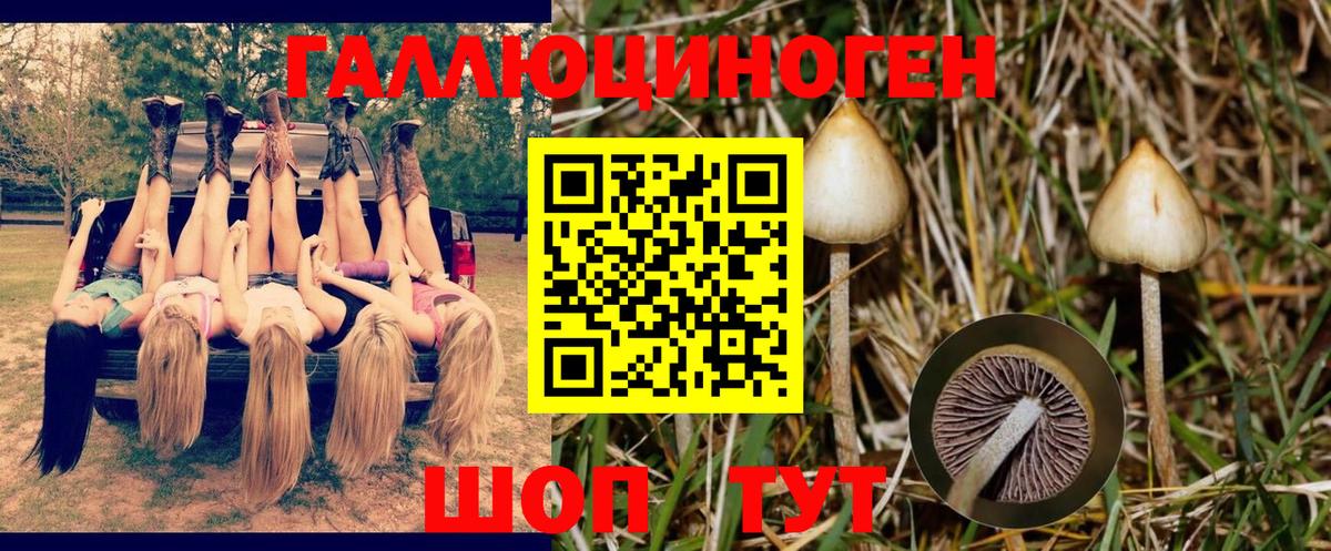 Псилоцибиновые грибы ЛСД Алушта